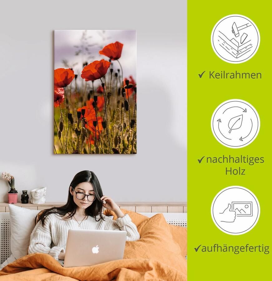 Artland Artprint Klaprozen in ochtendlicht als artprint van aluminium artprint voor buiten artprint op linnen poster in verschillende maten. maten