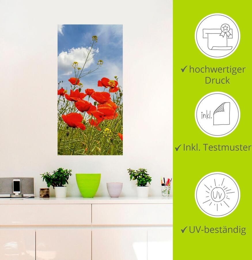 Artland Artprint Klaprozen in panorama als artprint van aluminium artprint voor buiten muursticker in diverse maten - Foto 3