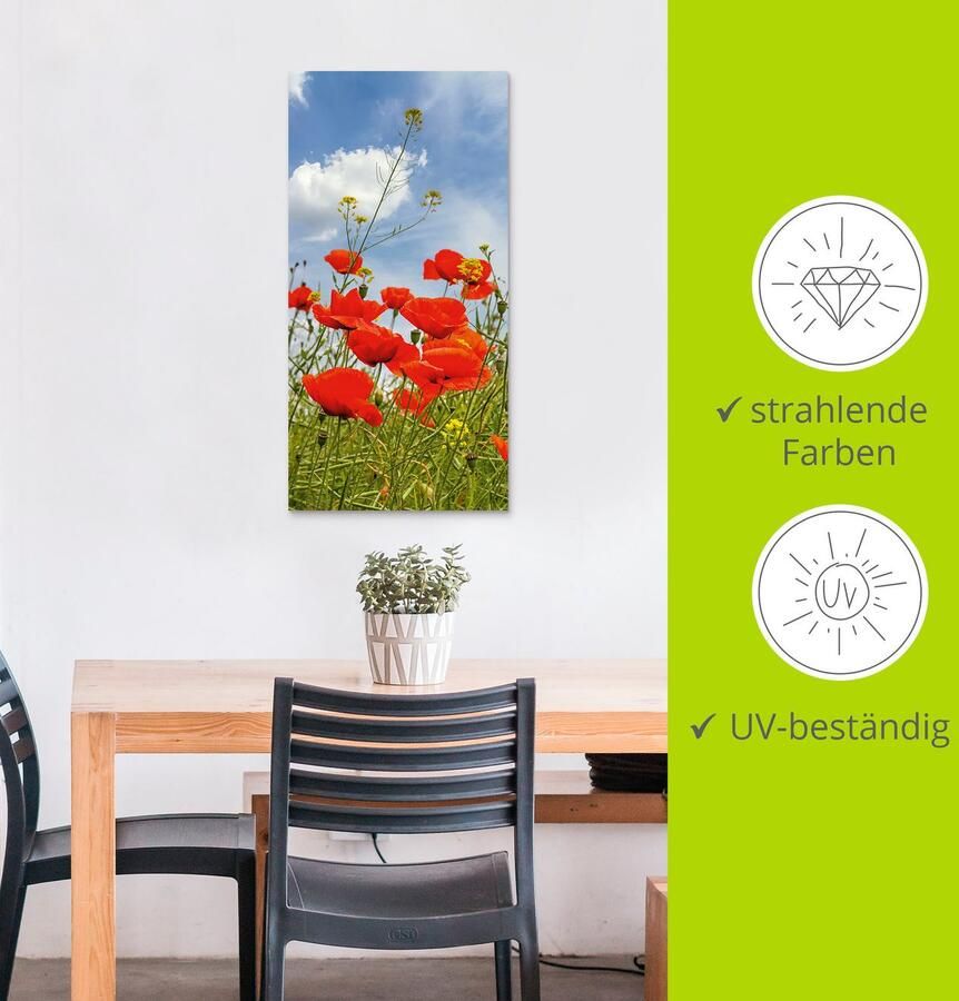 Artland Artprint Klaprozen in panorama als artprint van aluminium artprint voor buiten muursticker in diverse maten - Foto 3