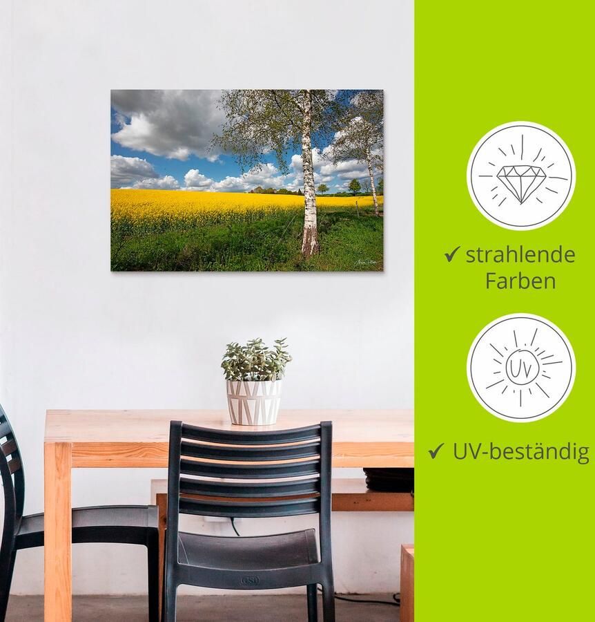 Artland Artprint Knollenland als artprint van aluminium artprint voor buiten poster in diverse formaten - Foto 5