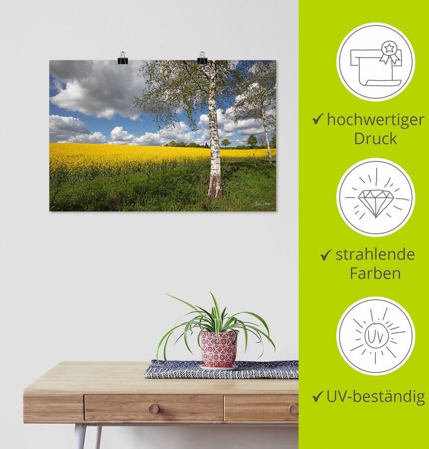 Artland Artprint Knollenland als artprint van aluminium artprint voor buiten poster in diverse formaten - Foto 3