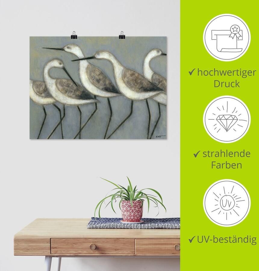 Artland Artprint Kustvogels I als artprint van aluminium artprint voor buiten artprint op linnen poster in verschillende maten. maten - Foto 3
