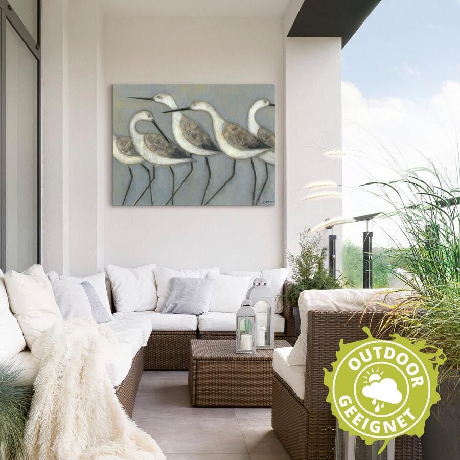 Artland Artprint Kustvogels I als artprint van aluminium artprint voor buiten artprint op linnen poster in verschillende maten. maten