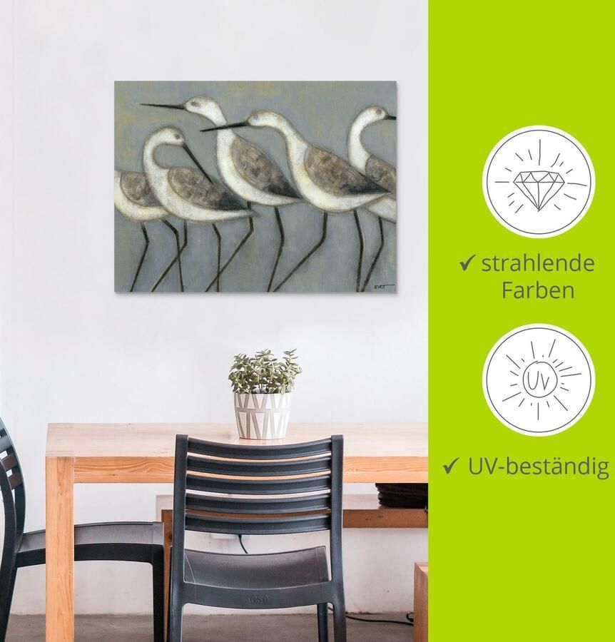 Artland Artprint Kustvogels I als artprint van aluminium artprint voor buiten artprint op linnen poster in verschillende maten. maten - Foto 2