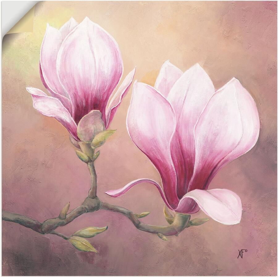 Artland Artprint Late magnolia als artprint van aluminium artprint op linnen muursticker of poster in verschillende maten - Foto 6