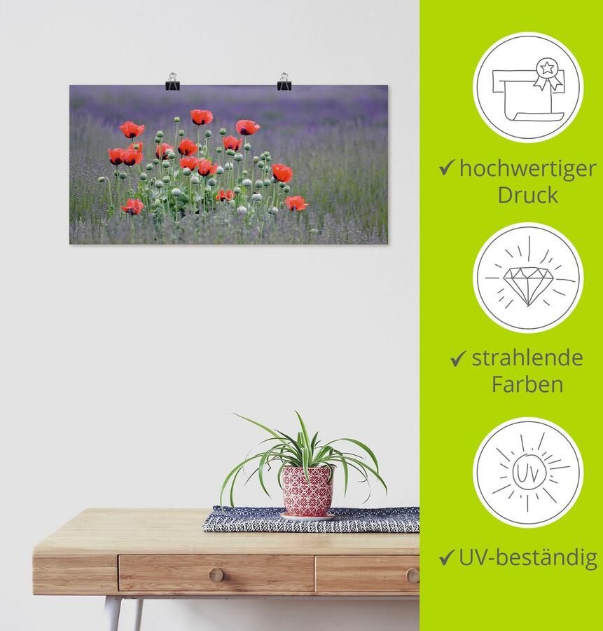 Artland Artprint Lavendel boerderij in Sequim klaprozen als artprint op linnen poster muursticker in verschillende maten - Foto 4