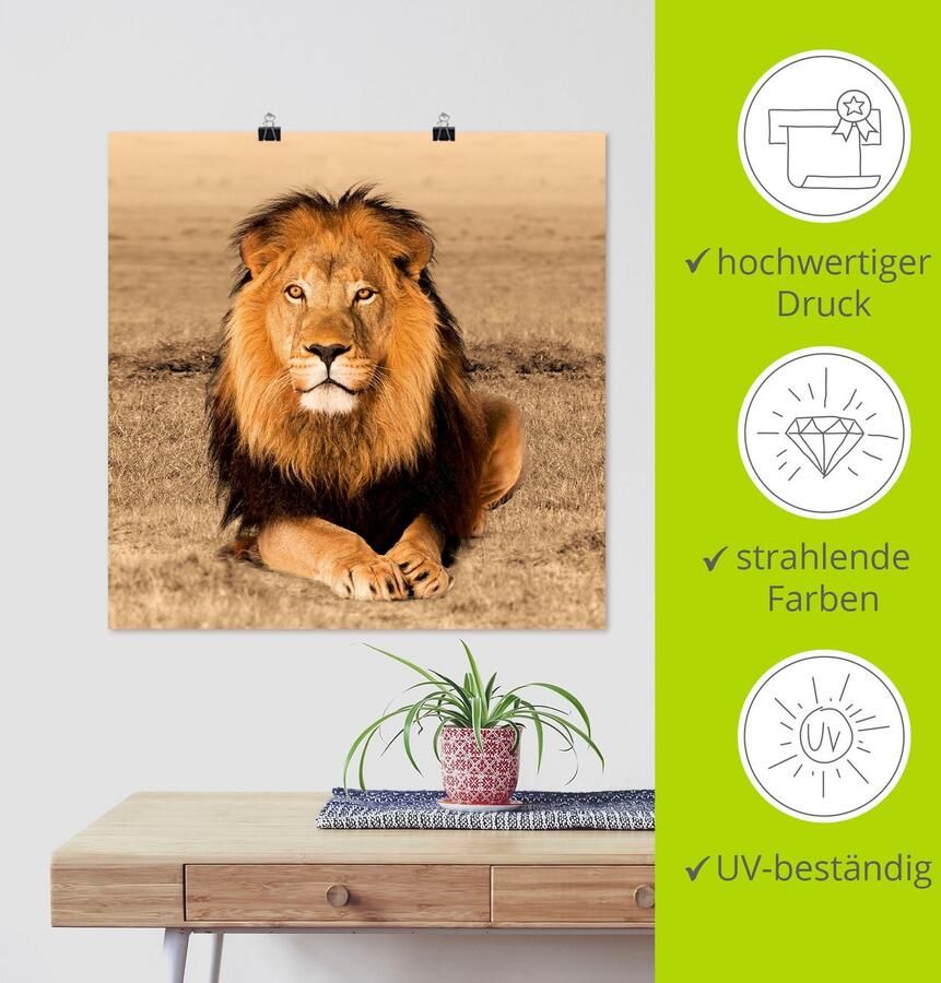 Artland Artprint Leeuw als artprint van aluminium artprint voor buiten artprint op linnen poster muursticker - Foto 5