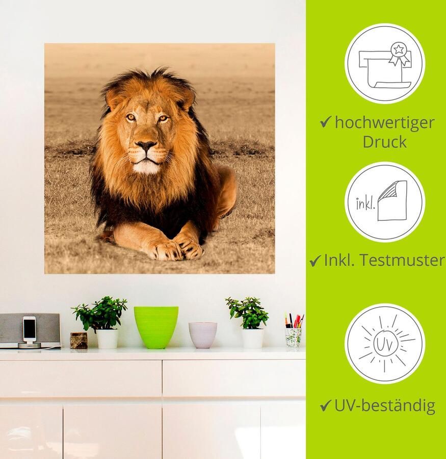 Artland Artprint Leeuw als artprint van aluminium artprint voor buiten artprint op linnen poster muursticker - Foto 3