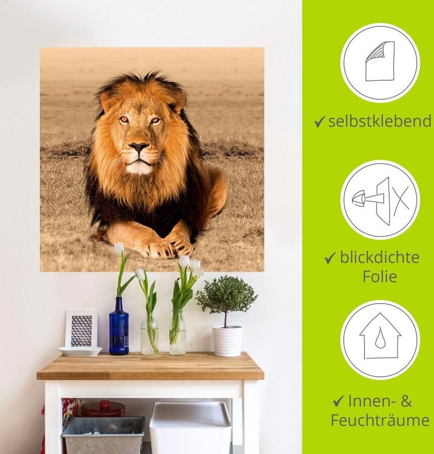 Artland Artprint Leeuw als artprint van aluminium artprint voor buiten artprint op linnen poster muursticker - Foto 4