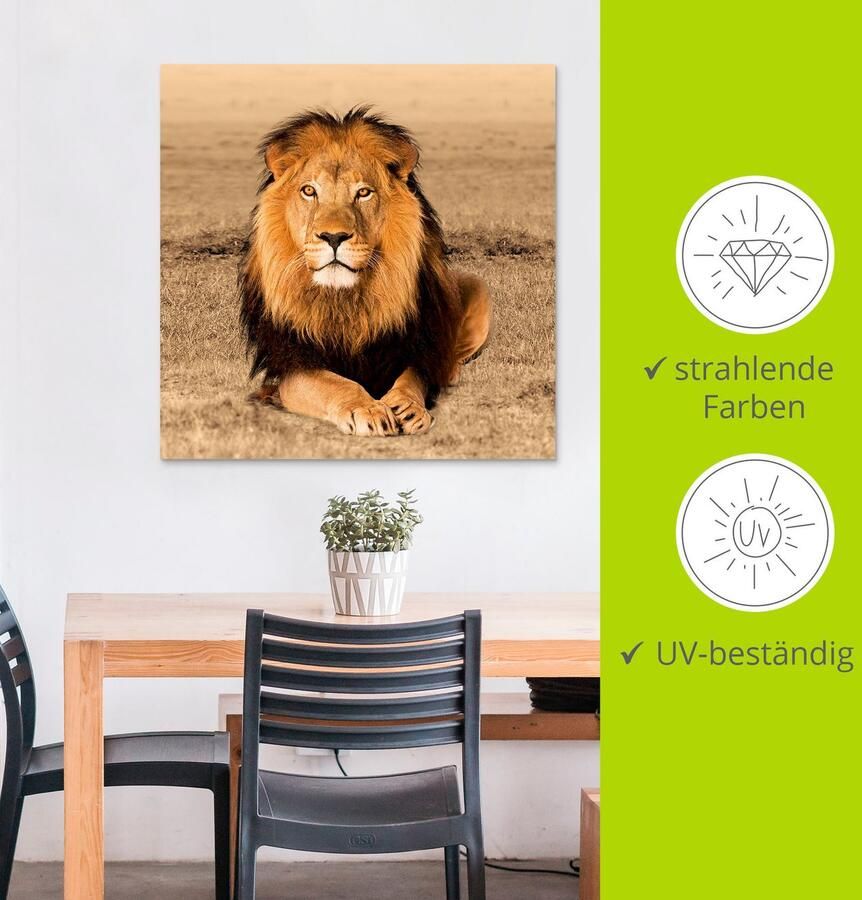 Artland Artprint Leeuw als artprint van aluminium artprint voor buiten artprint op linnen poster muursticker - Foto 3