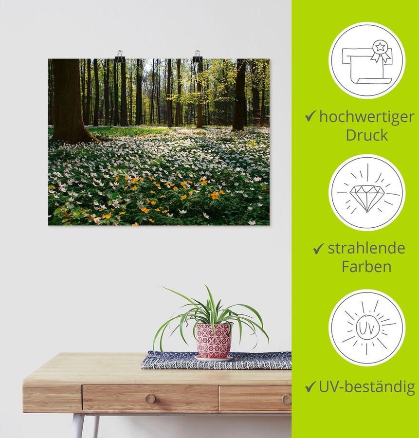 Artland Artprint Lentebos bedekt met anemonen als artprint op linnen poster in verschillende formaten maten - Foto 3