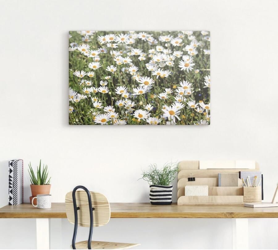 Artland Artprint Madeliefje als artprint van aluminium artprint voor buiten artprint op linnen in verschillende maten - Foto 5