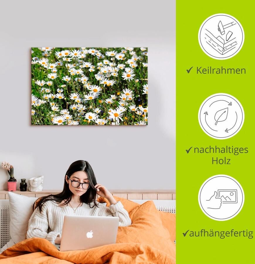 Artland Artprint Madeliefje als artprint van aluminium artprint voor buiten artprint op linnen in verschillende maten - Foto 2