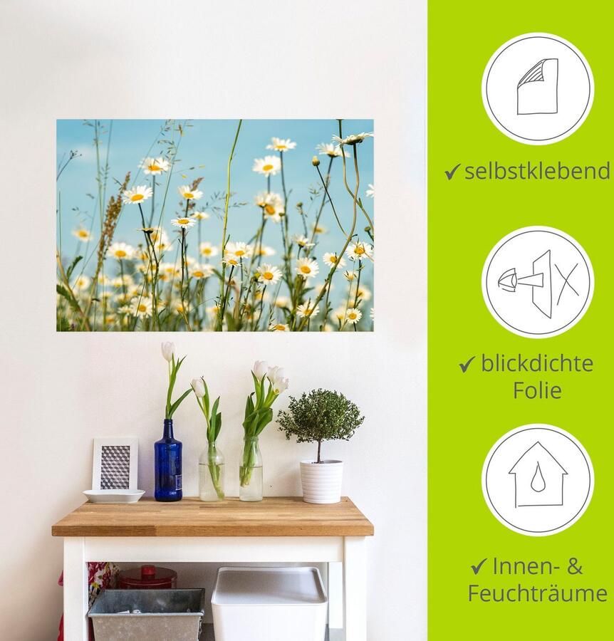 Artland Artprint Margrieten voor zomer hemel als artprint op linnen muursticker in verschillende maten - Foto 3