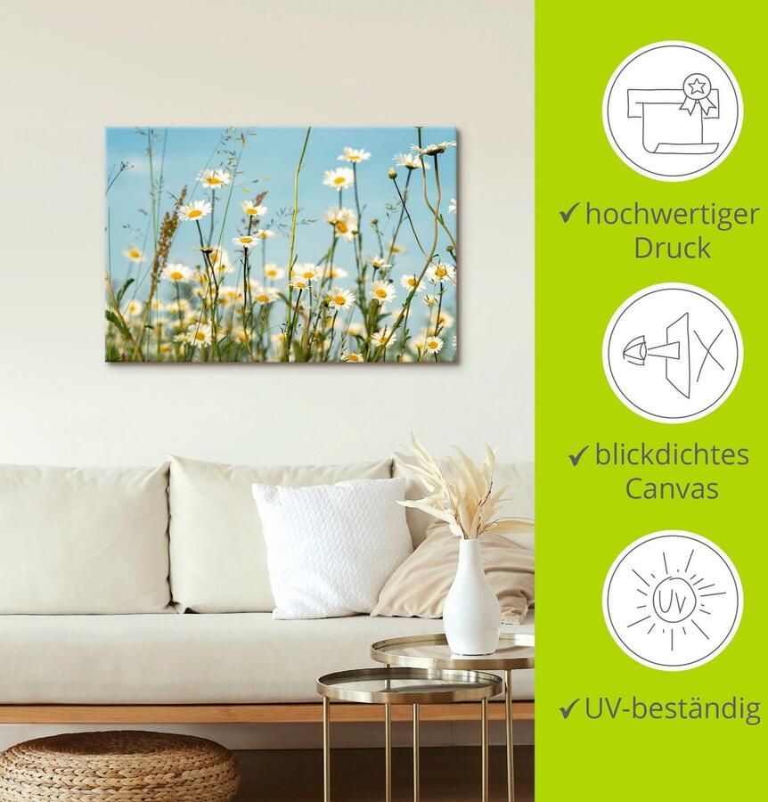 Artland Artprint Margrieten voor zomer hemel als artprint op linnen muursticker in verschillende maten - Foto 2