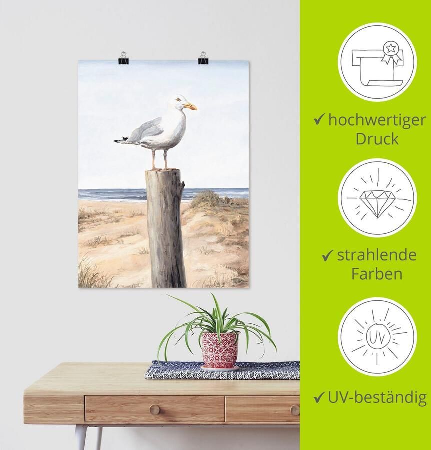 Artland Artprint Meeuw als artprint van aluminium artprint voor buiten artprint op linnen poster muursticker - Foto 4