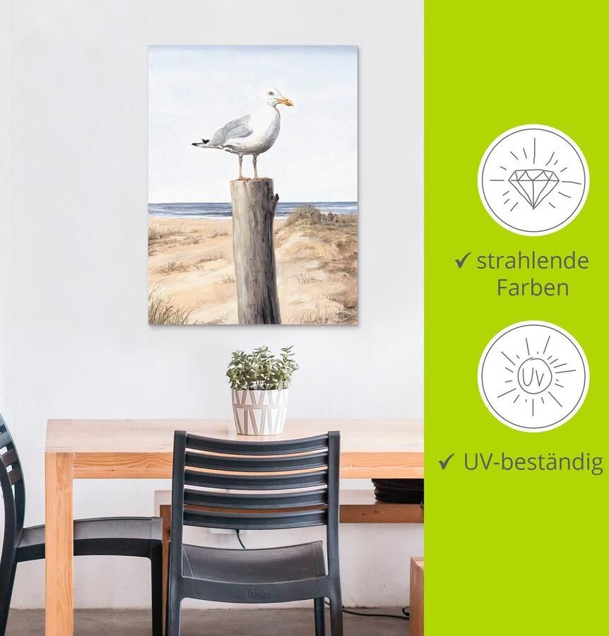 Artland Artprint Meeuw als artprint van aluminium artprint voor buiten artprint op linnen poster muursticker - Foto 4