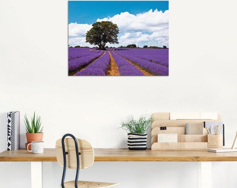 Artland Artprint Mooi lavendelveld in de zomer als artprint van aluminium artprint voor buiten artprint op linnen in verschillende maten - Foto 6