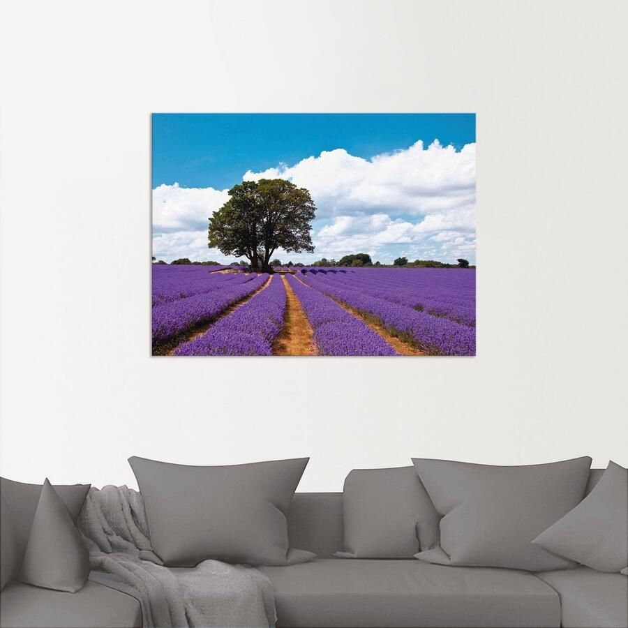 Artland Artprint Mooi lavendelveld in de zomer als artprint van aluminium artprint voor buiten artprint op linnen in verschillende maten - Foto 2