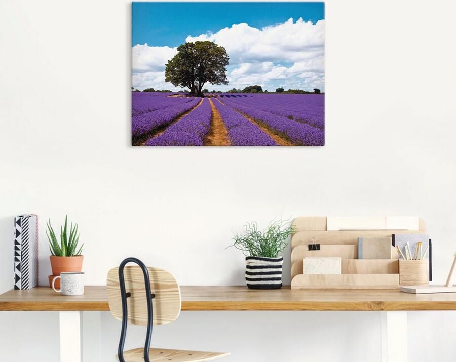 Artland Artprint Mooi lavendelveld in de zomer als artprint van aluminium artprint voor buiten artprint op linnen in verschillende maten - Foto 7