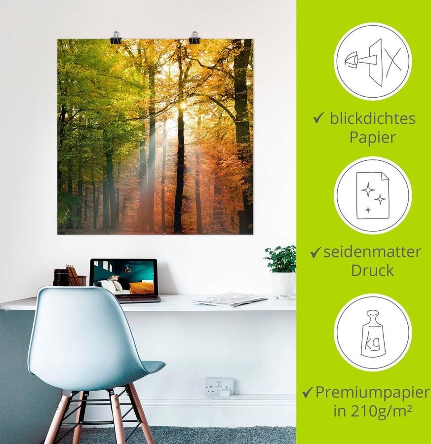 Artland Artprint Mooie herfstdag 2 als artprint van aluminium artprint voor buiten artprint op linnen poster in verschillende maten. maten - Foto 2