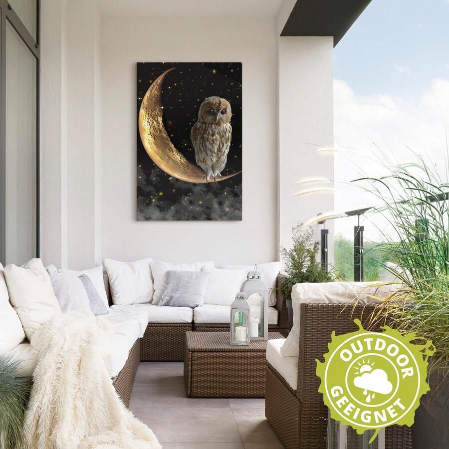 Artland Artprint Nachtuil als artprint van aluminium artprint voor buiten artprint op linnen poster in verschillende maten. maten - Foto 2