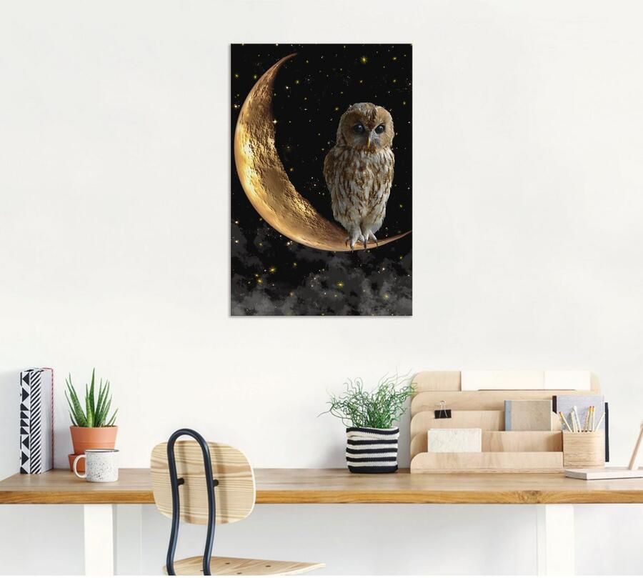 Artland Artprint Nachtuil als artprint van aluminium artprint voor buiten artprint op linnen poster in verschillende maten. maten - Foto 5