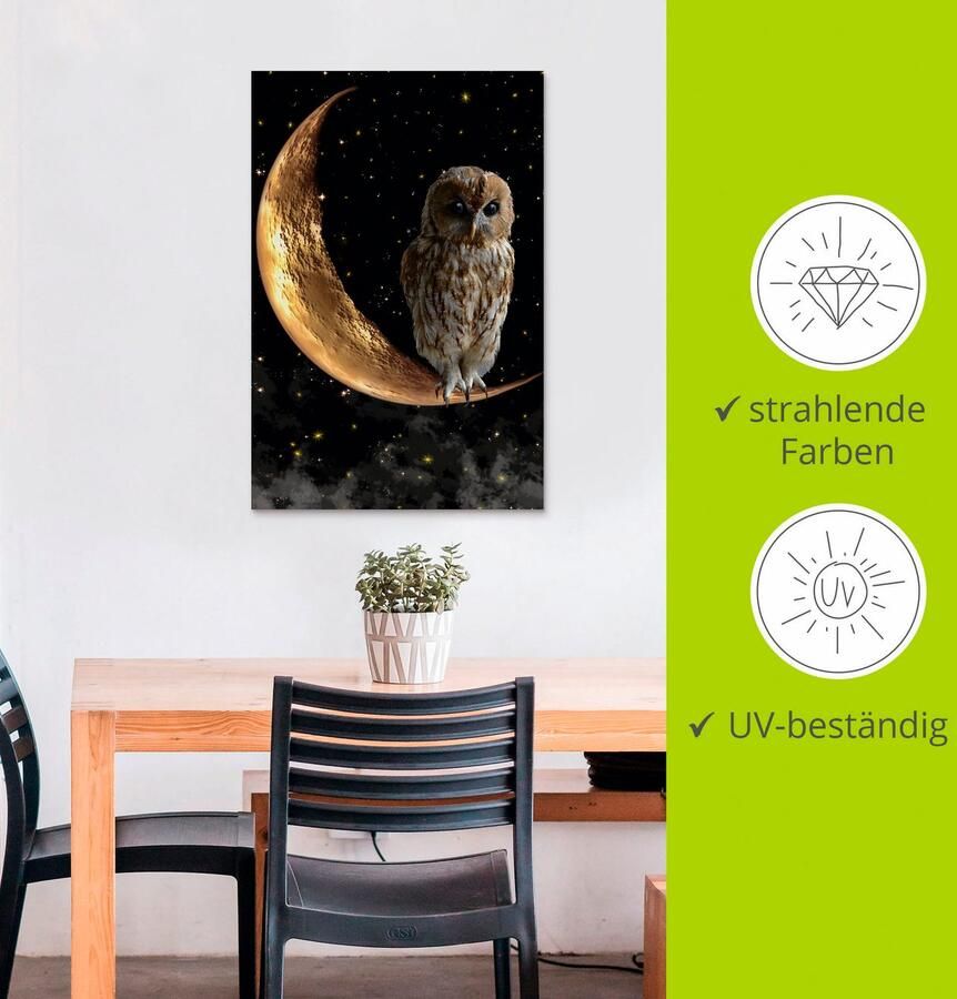 Artland Artprint Nachtuil als artprint van aluminium artprint voor buiten artprint op linnen poster in verschillende maten. maten - Foto 3