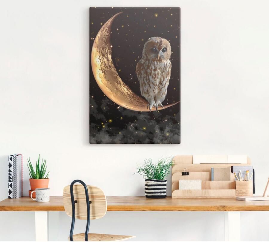 Artland Artprint Nachtuil als artprint van aluminium artprint voor buiten artprint op linnen poster in verschillende maten. maten - Foto 3