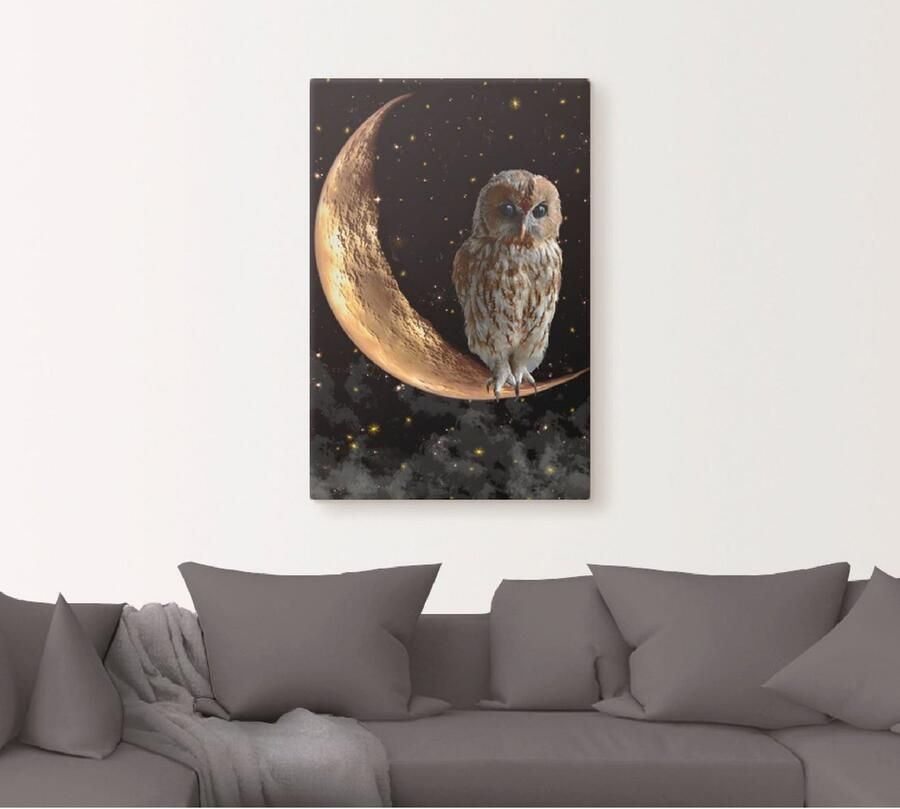 Artland Artprint Nachtuil als artprint van aluminium artprint voor buiten artprint op linnen poster in verschillende maten. maten - Foto 4