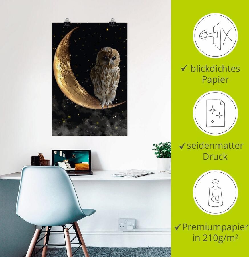 Artland Artprint Nachtuil als artprint van aluminium artprint voor buiten artprint op linnen poster in verschillende maten. maten - Foto 2