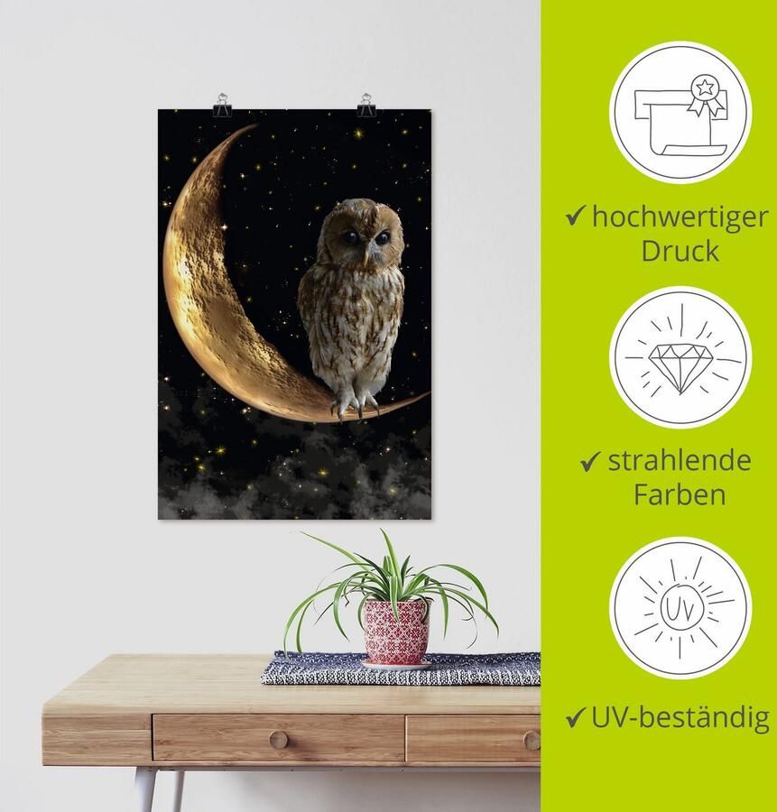 Artland Artprint Nachtuil als artprint van aluminium artprint voor buiten artprint op linnen poster in verschillende maten. maten - Foto 3