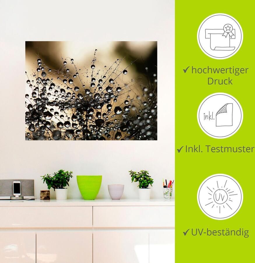 Artland Artprint Natte paardenbloem als artprint van aluminium artprint voor buiten artprint op linnen poster muursticker - Foto 3