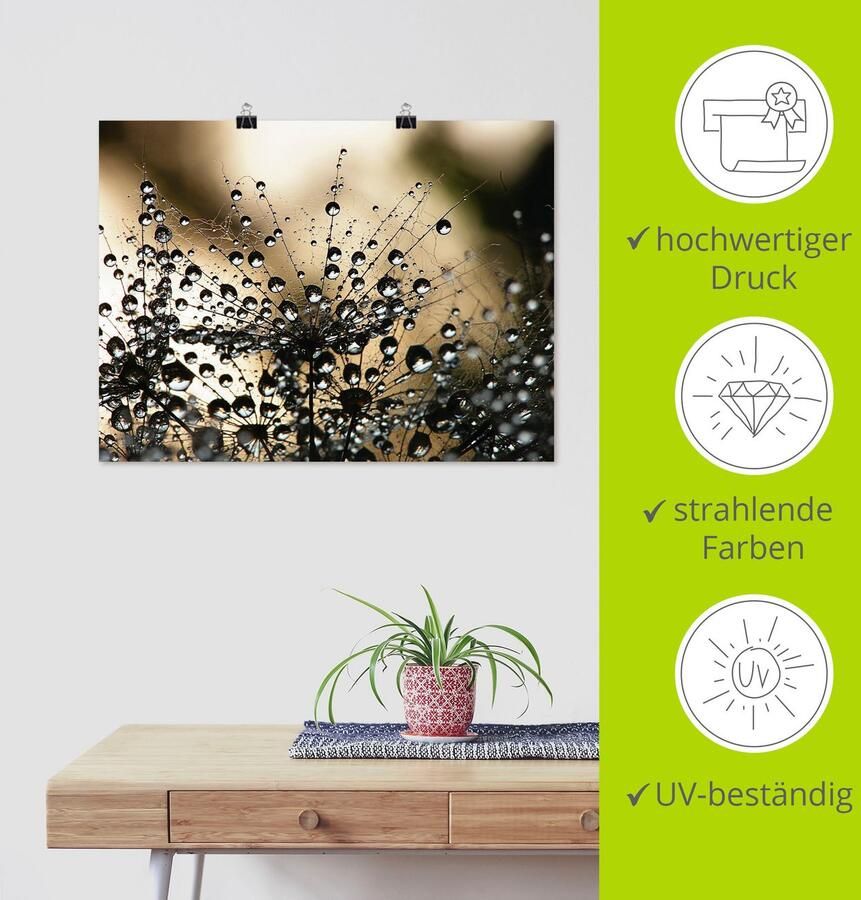 Artland Artprint Natte paardenbloem als artprint van aluminium artprint voor buiten artprint op linnen poster muursticker - Foto 5