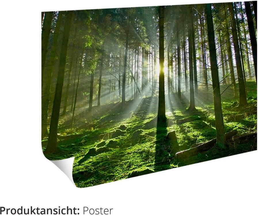 Artland Artprint Vintage mandala olifant als artprint op linnen poster muursticker in verschillende maten - Foto 4