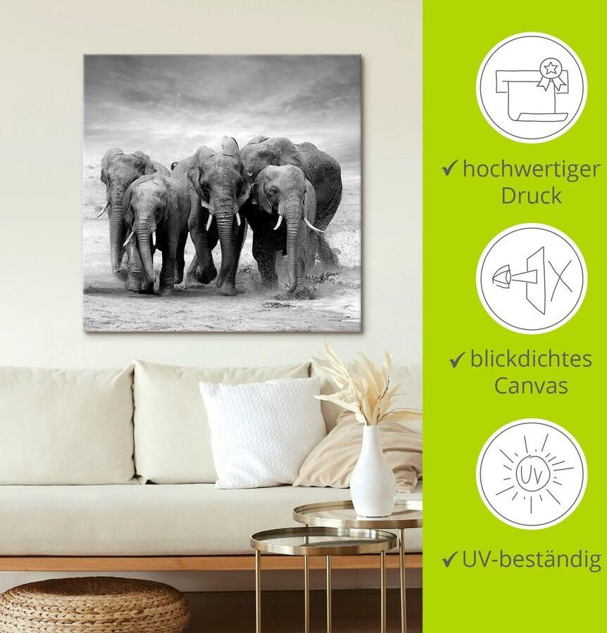 Artland Artprint Olifanten als artprint op linnen poster in verschillende formaten maten - Foto 4