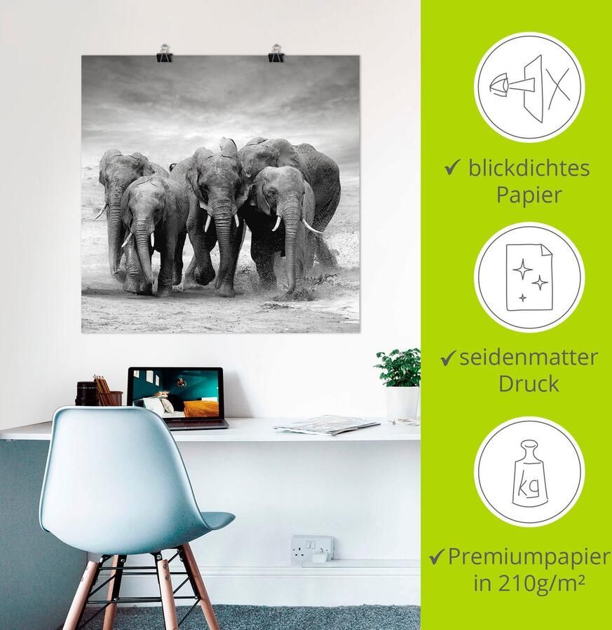 Artland Artprint Olifanten als artprint op linnen poster in verschillende formaten maten - Foto 3