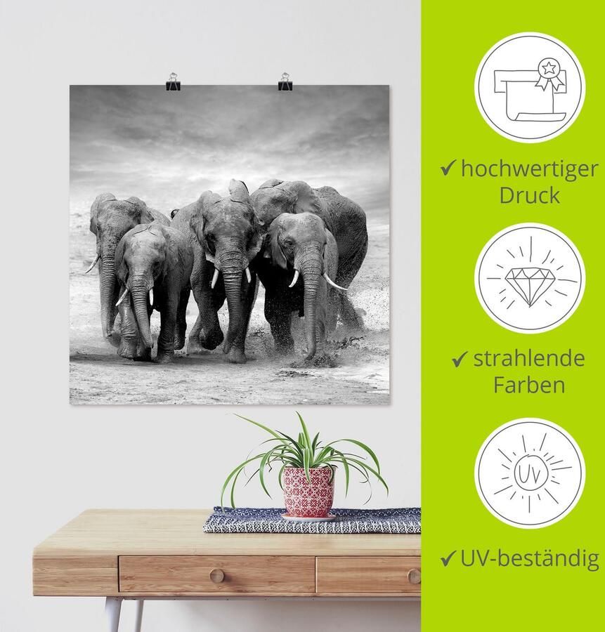 Artland Artprint Olifanten als artprint op linnen poster in verschillende formaten maten - Foto 4