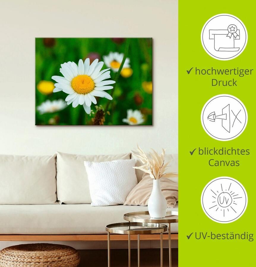 Artland Artprint op linnen Een margriet op de bloemenweide - Foto 2