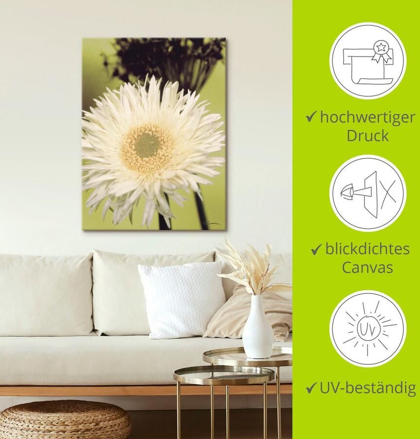 Artland Artprint op linnen Een voor groen gerbera gespannen op een spieraam - Foto 4