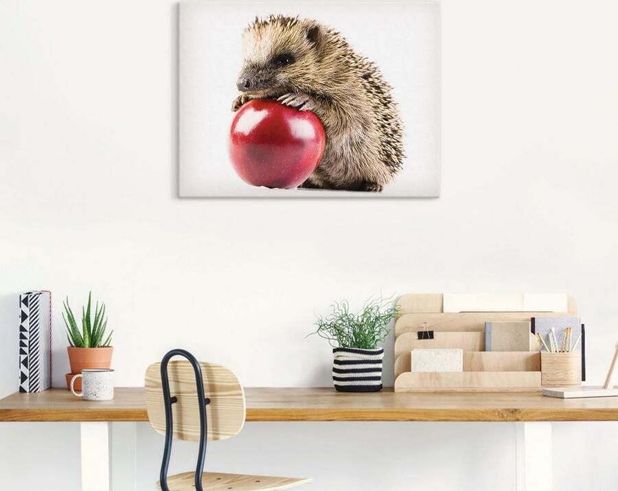 Artland Artprint op linnen Gelukkige egel gespannen op een spieraam - Foto 5