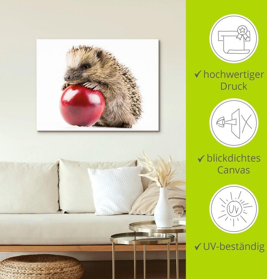 Artland Artprint op linnen Gelukkige egel gespannen op een spieraam - Foto 3