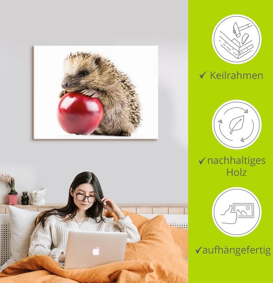 Artland Artprint op linnen Gelukkige egel gespannen op een spieraam - Foto 2
