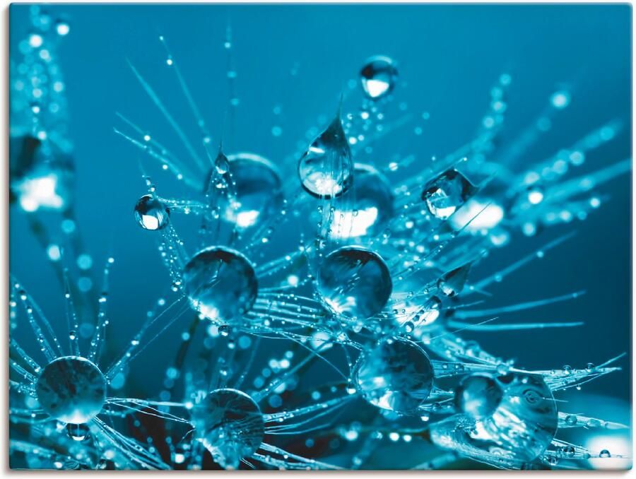 Artland Artprint op linnen Glinsterende pluizenbol II - Foto 5