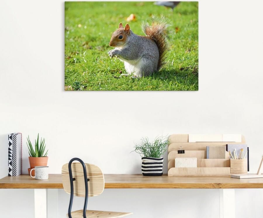 Artland Artprint op linnen Grijze eekhoorn gespannen op een spieraam - Foto 5