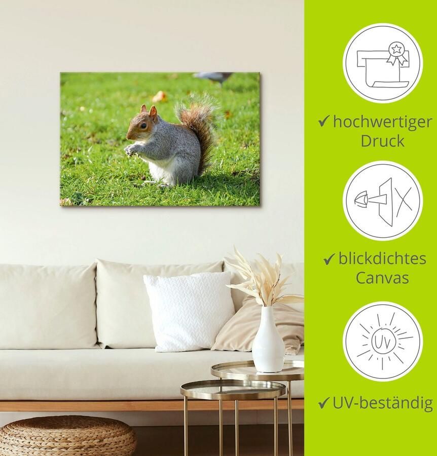 Artland Artprint op linnen Grijze eekhoorn gespannen op een spieraam - Foto 3