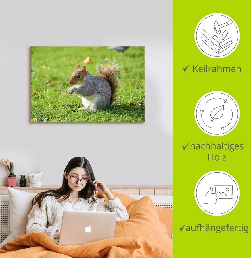 Artland Artprint op linnen Grijze eekhoorn gespannen op een spieraam - Foto 2