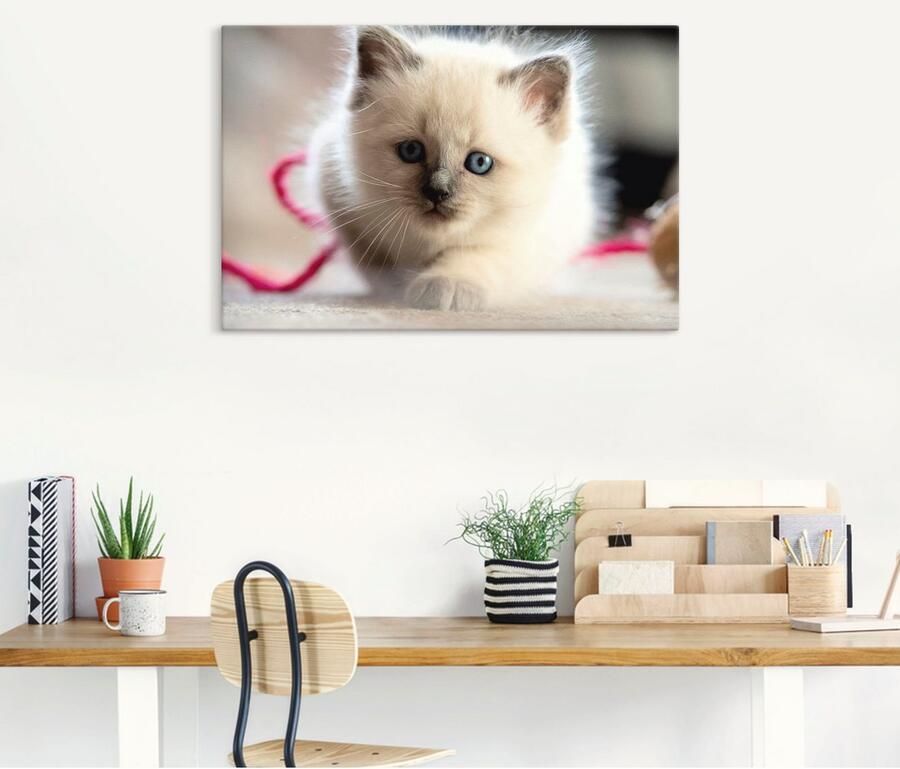 Artland Artprint op linnen Heilige Birma spelende kat - Foto 4
