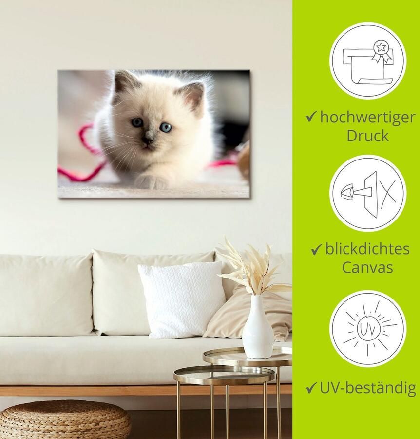 Artland Artprint op linnen Heilige Birma spelende kat - Foto 3