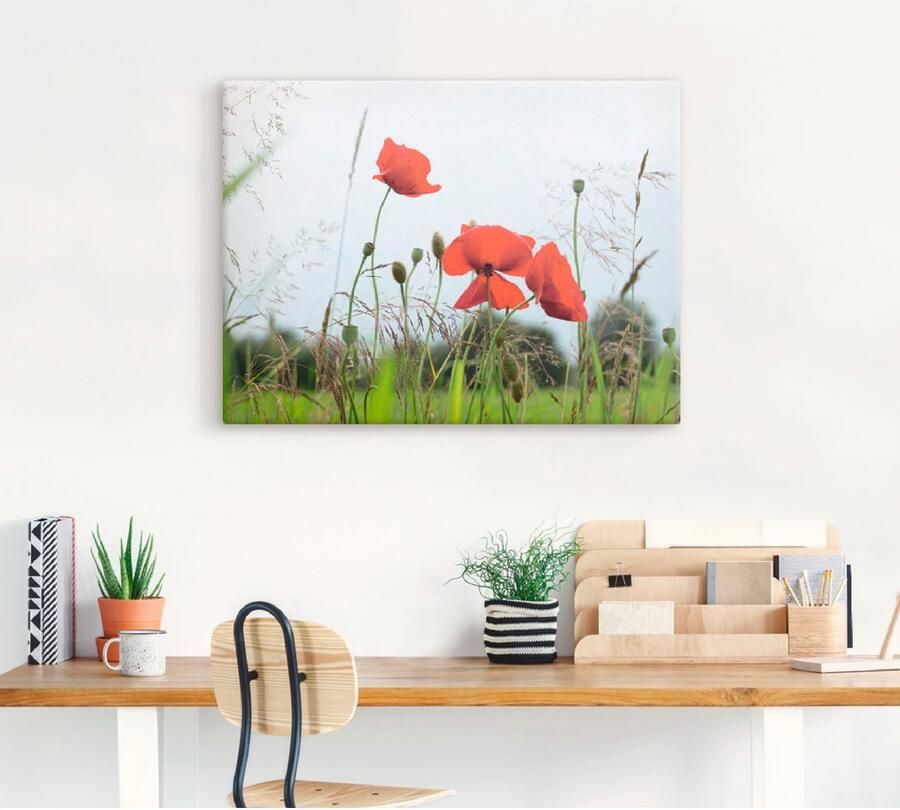 Artland Artprint op linnen Klaprozen I gespannen op een spieraam - Foto 3